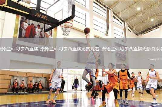 桑德兰vs切尔西直播_桑德兰vs切尔西直播免费观看_桑德兰vs切尔西直播无插件观看